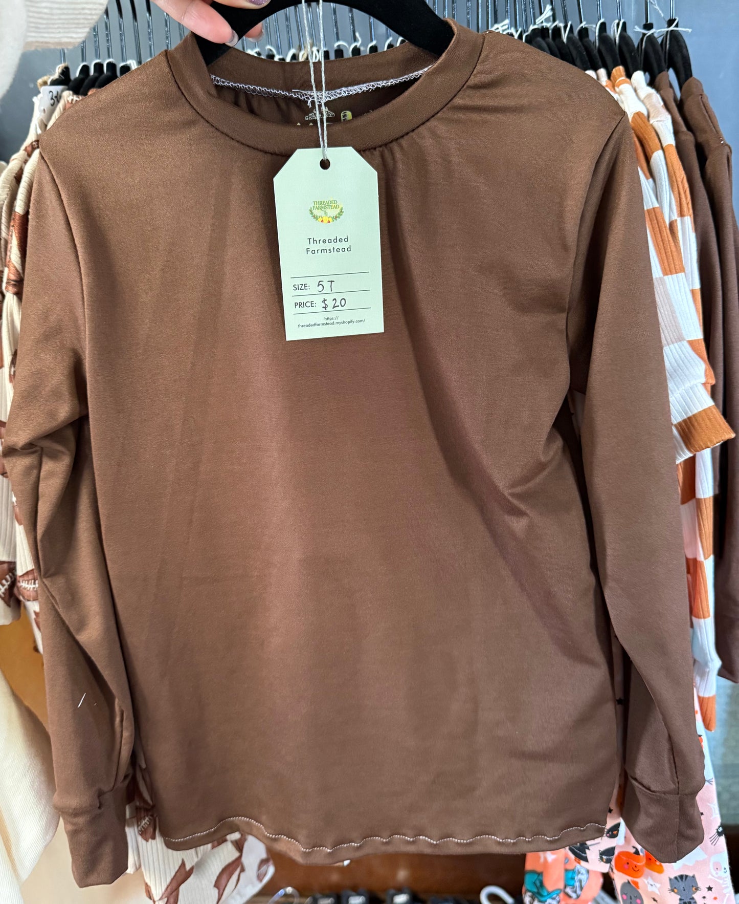 Brown Fitted Tee- Long sleeve